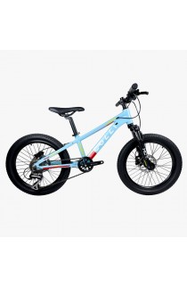 Bicicleta Infantil Aro 20 Colli Dublin