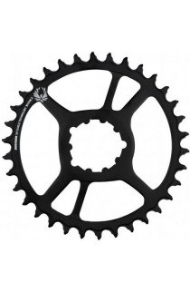 Coroa Sram NX Eagle X-Sync2 34D