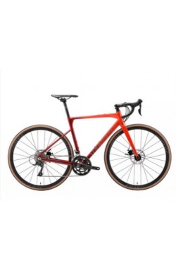 Bicicleta Sunpeed Astro 2022