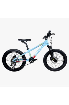 Bicicleta Infantil Aro 20 Colli Dublin